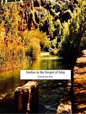 cover image of Studies In the Gospel of John